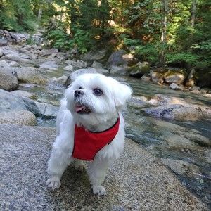 Meet your Posher, Vicky